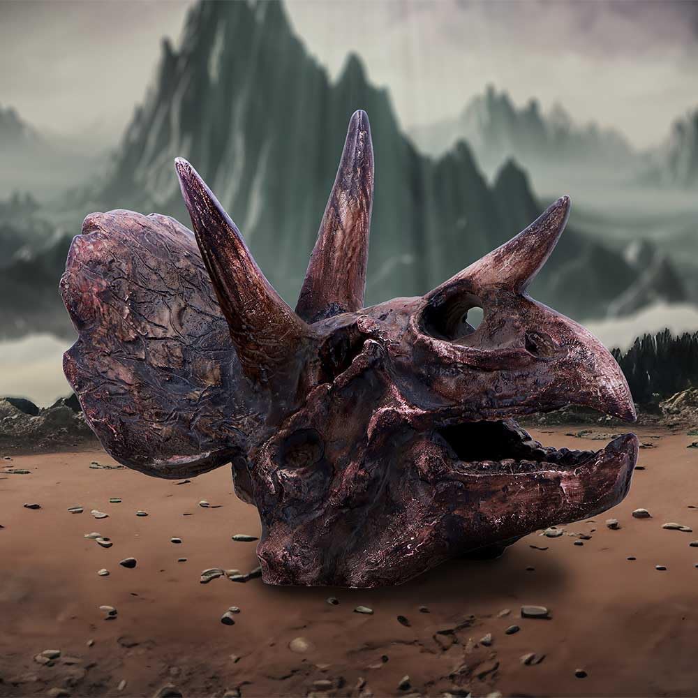 Triceratops Skull Resin Replica 14.5cm 7