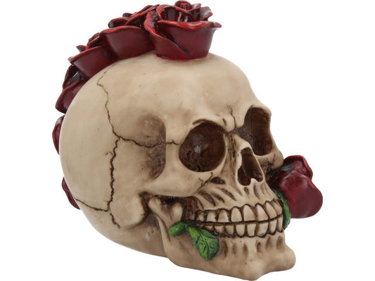Rosehawk Skull 16cm 2