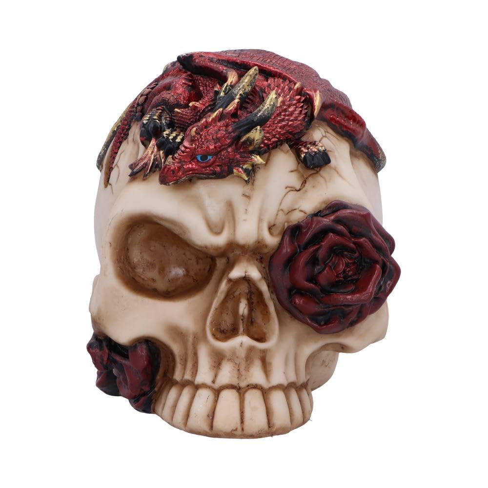 Rose Flame Decorative Skull With Sleeping Dragon 14.5cm 2