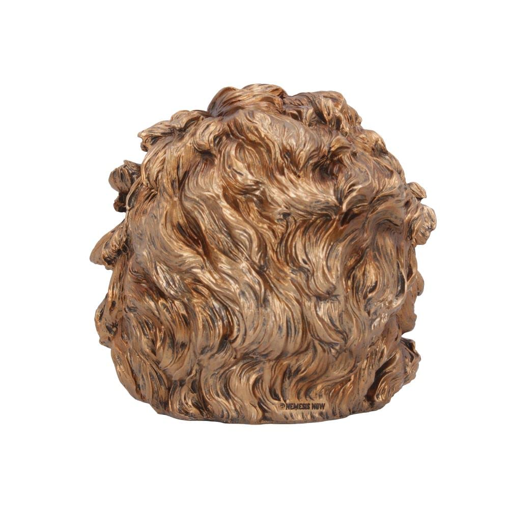 The Theory of Relativity Bronze Einstein Skull 21cm 5