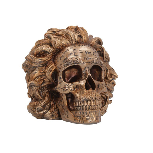 The Theory of Relativity Bronze Einstein Skull 21cm 2