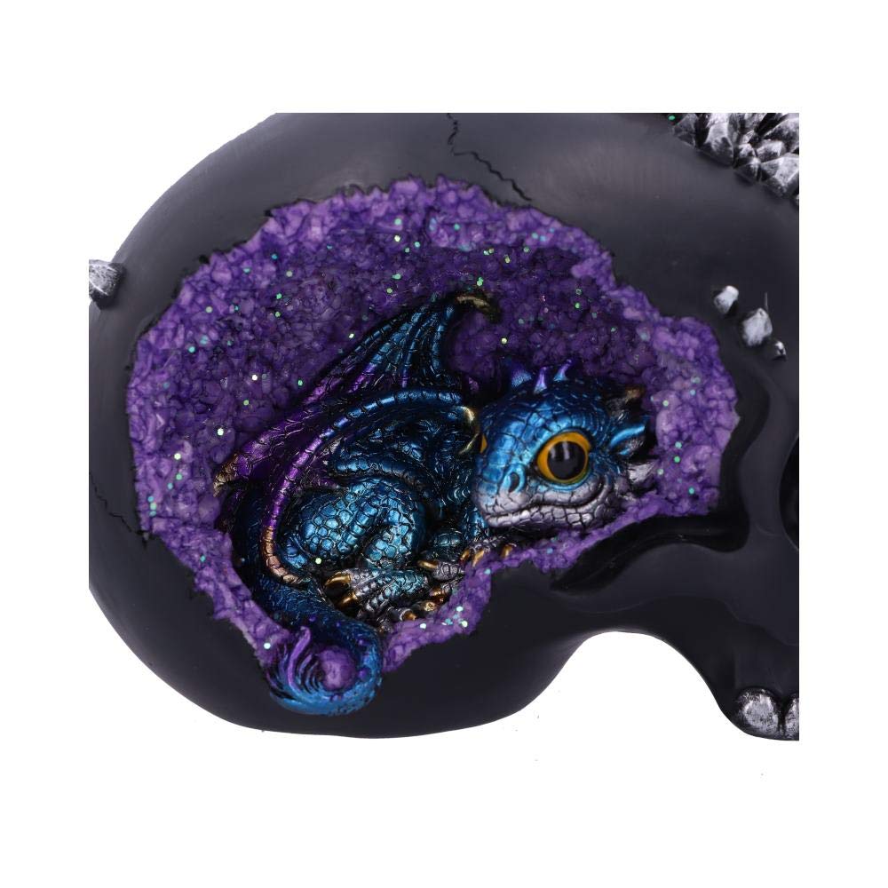 Crystal Cave Small Dragon Hiding within a Skull 16.5cm