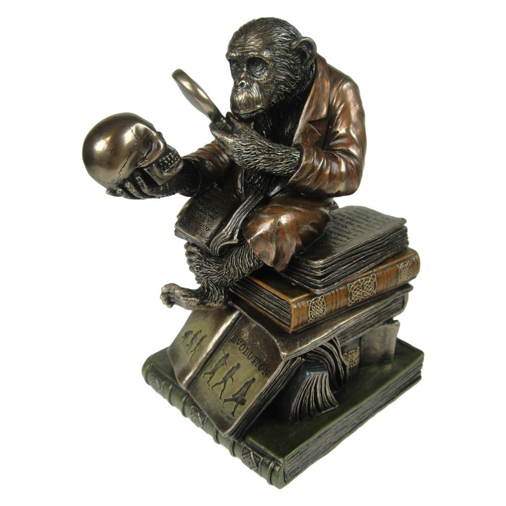 Darwinism of Evolutionary Theory Figurine Charles Darwin Chimpanzee Ornament 17.5cm