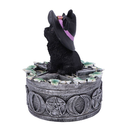 Ivy Familiar Box 15cm 4