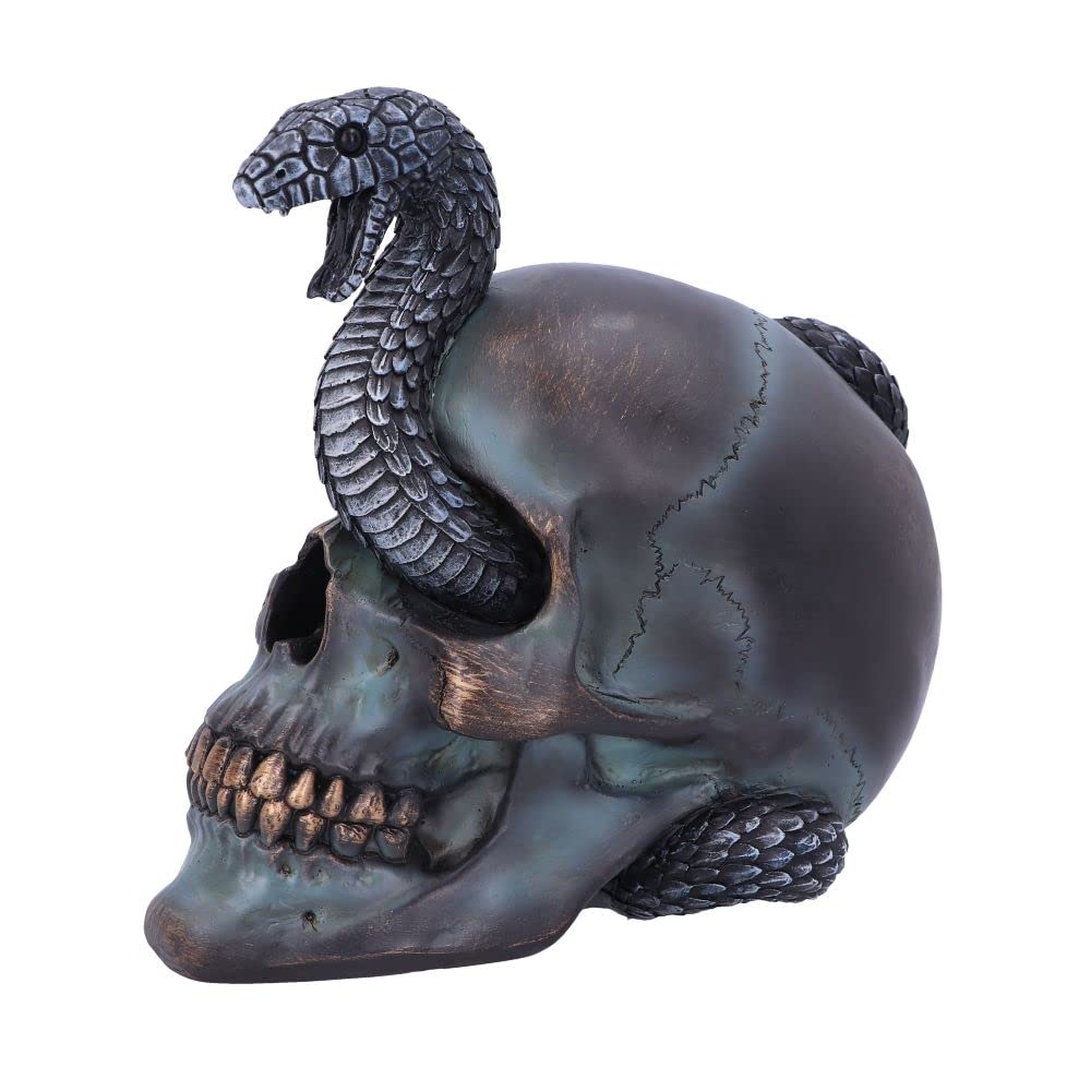 Serpentine Fate Gothic Snake Skull 19cm