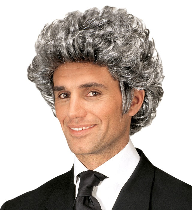 Grey John Wig In Polybag
