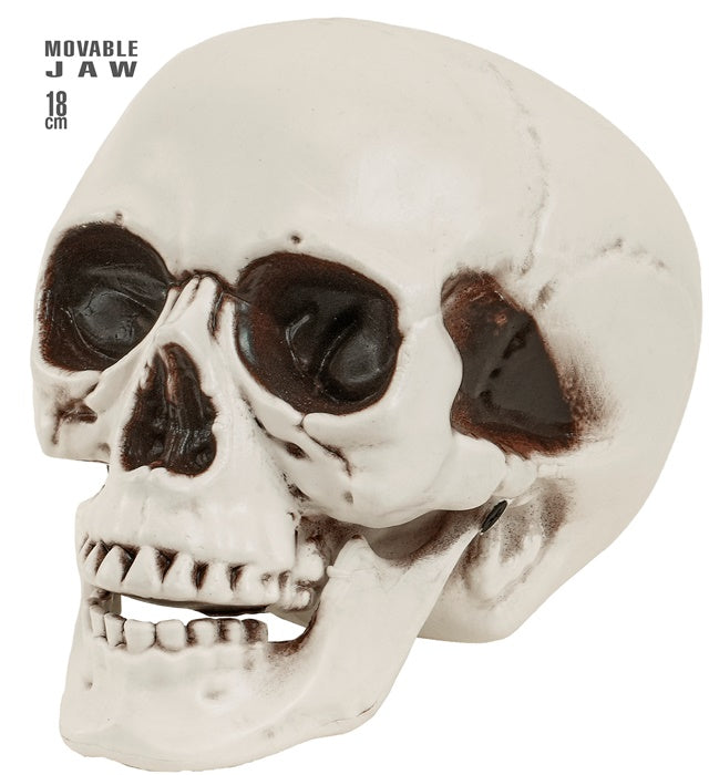 Skull With Movable Jaw 18 Cm