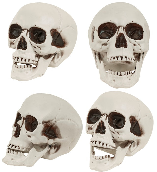 Skull With Movable Jaw 18 Cm