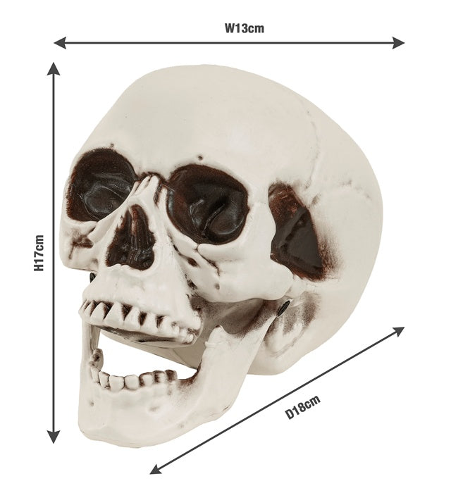 Skull With Movable Jaw 18 Cm
