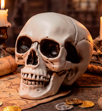 Skull With Movable Jaw 12 Cm