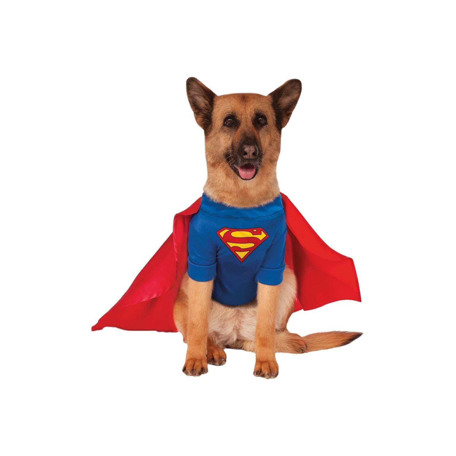 Big Dog Superman Costume 1