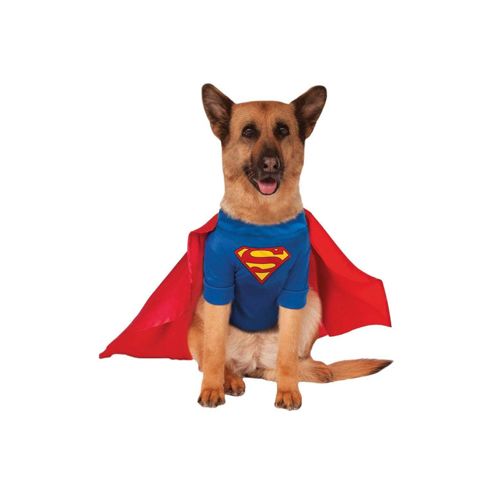 Big Dog Superman Costume 1