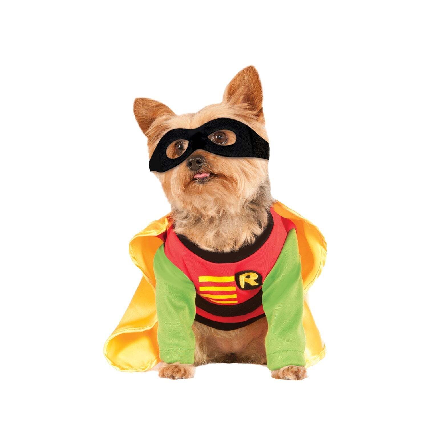Robin Pet Costume for Dogs and Cats 1