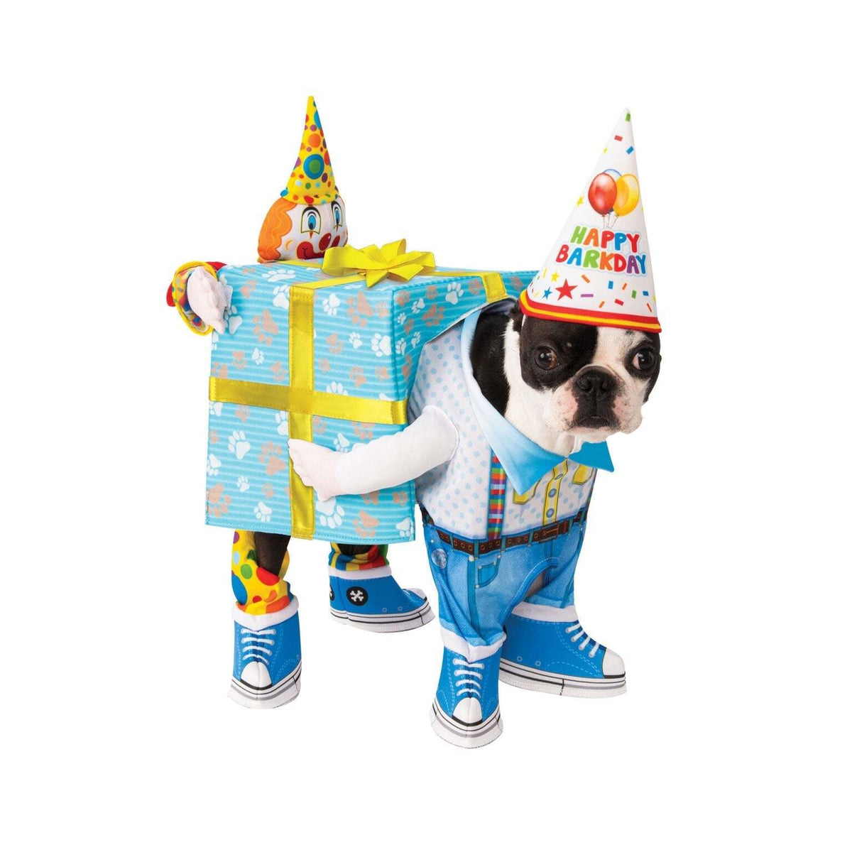 Birthday Carry Pet Costume 1