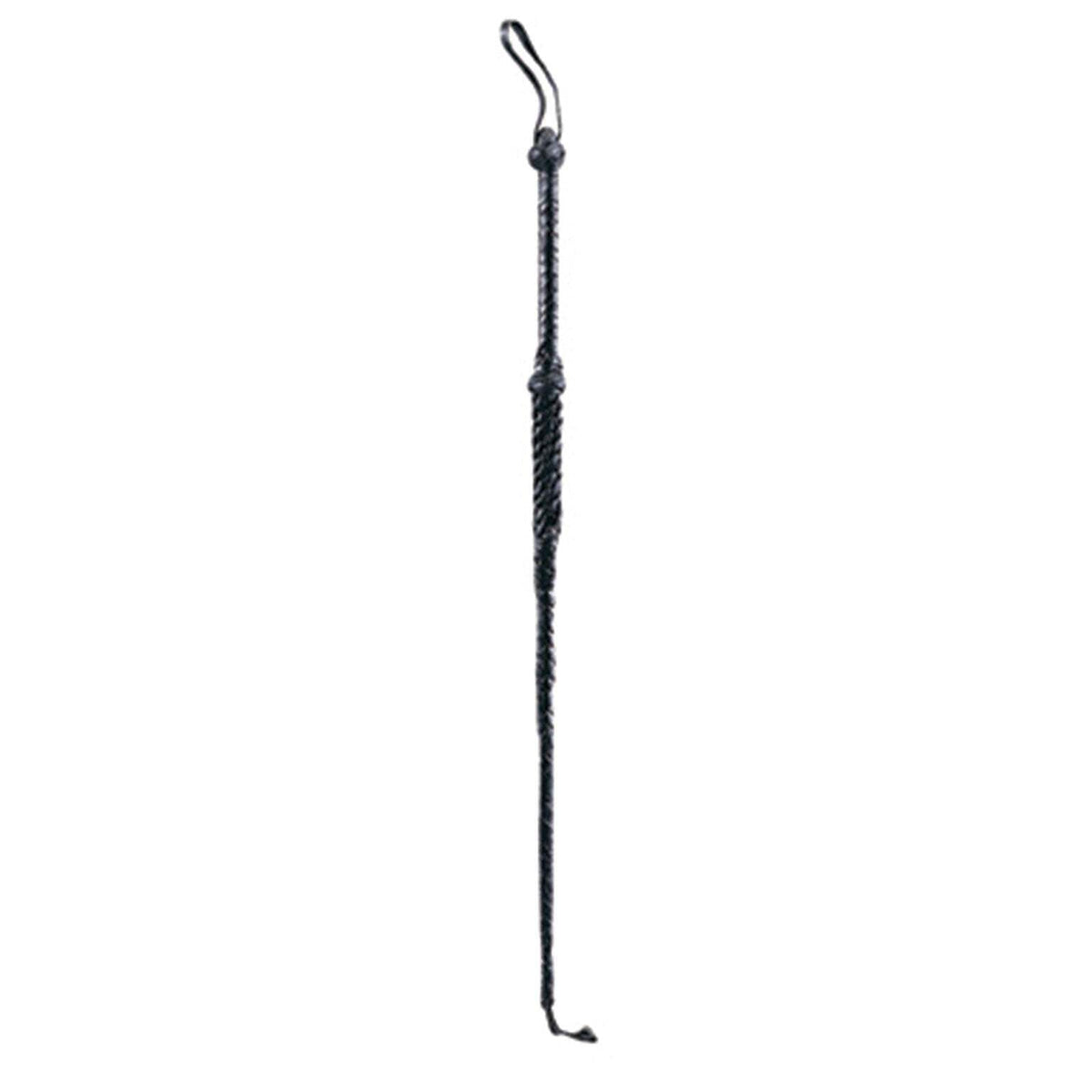 Riding Crop 1
