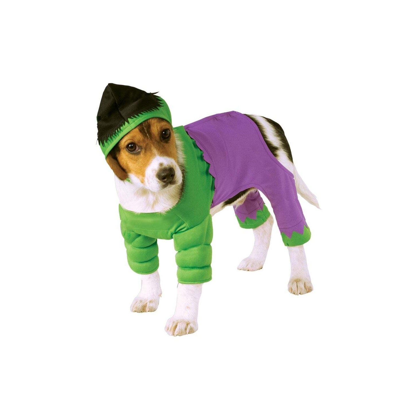Incredible Hulk Pet Costume 1