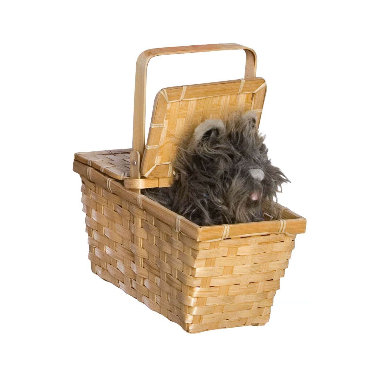 Deluxe Toto In A Basket 1