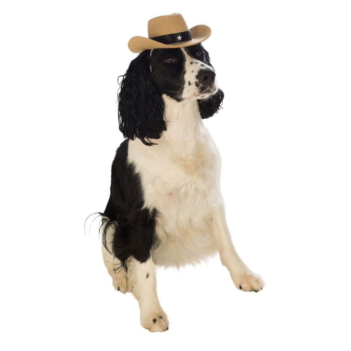 Dog Cowboy Hat Pet Brown Costume 1