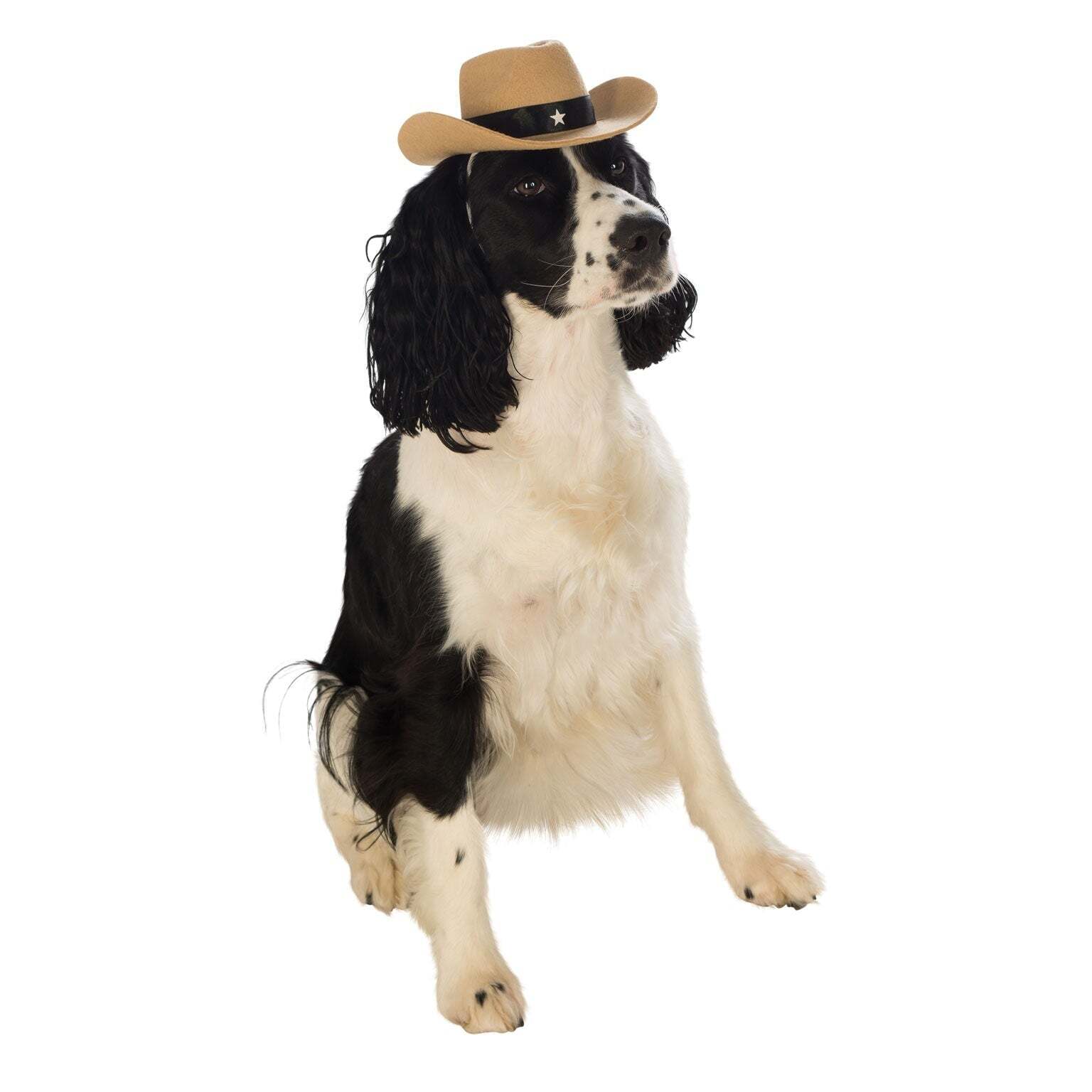 Dog Cowboy Hat Pet Brown Costume 1