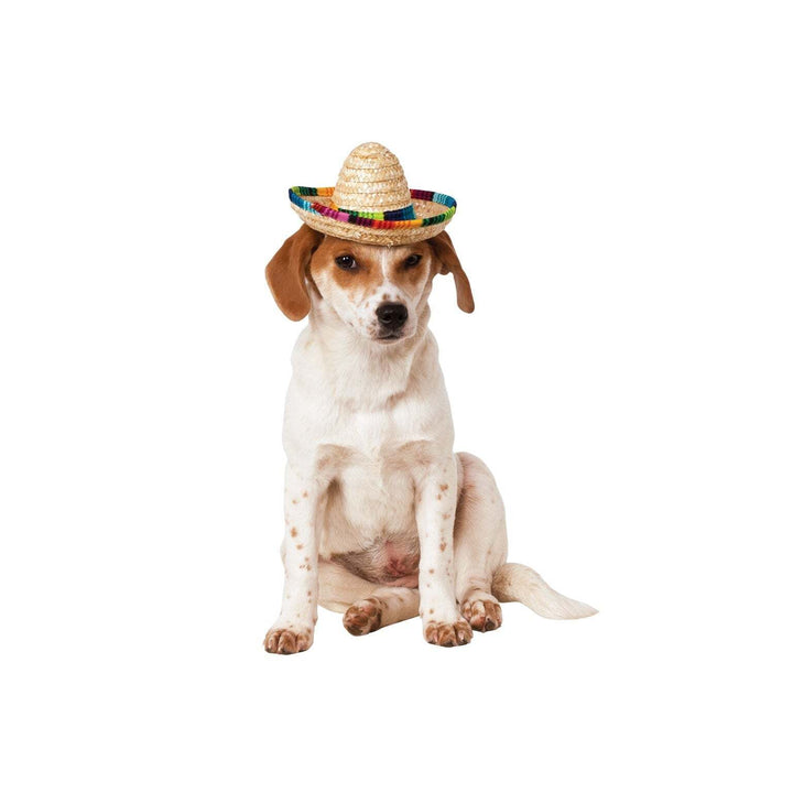 Sombrero For Dogs Pet Costume 1