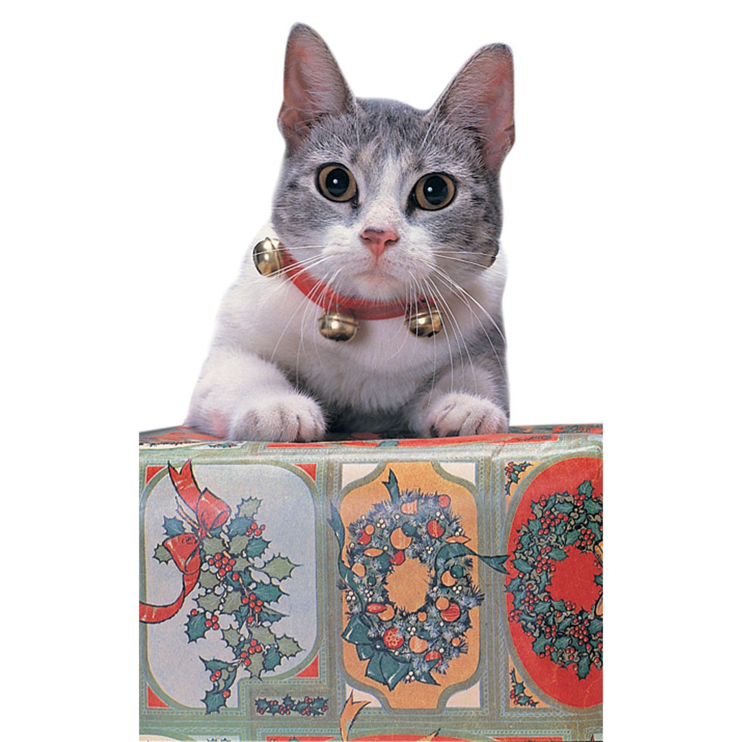 Jingle Cat Collar 1