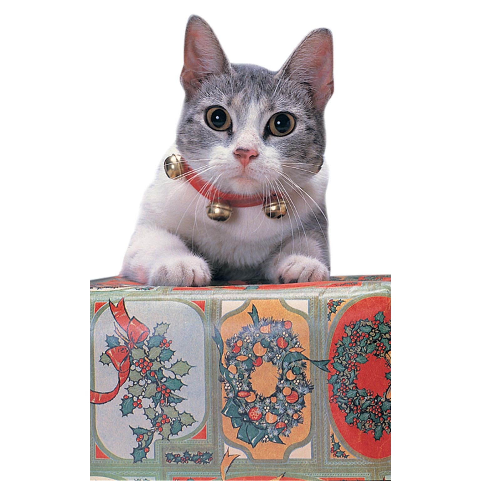 Jingle Cat Collar 1