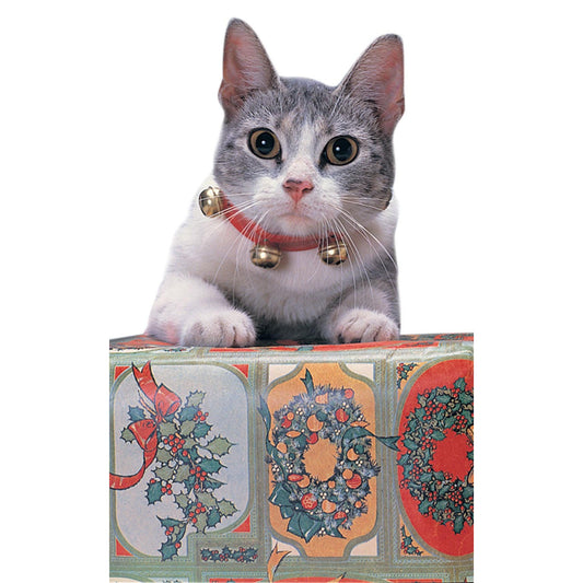 Jingle Cat Collar 1