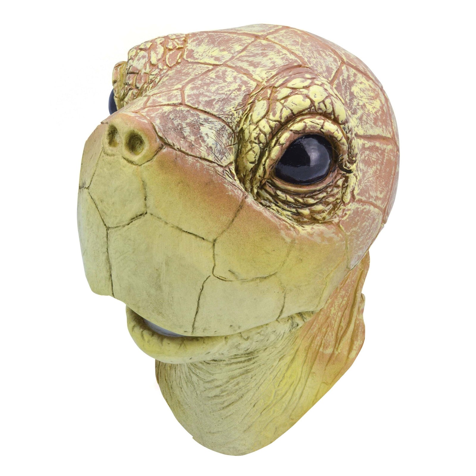 Turtle Rubber Mask Overhead 1