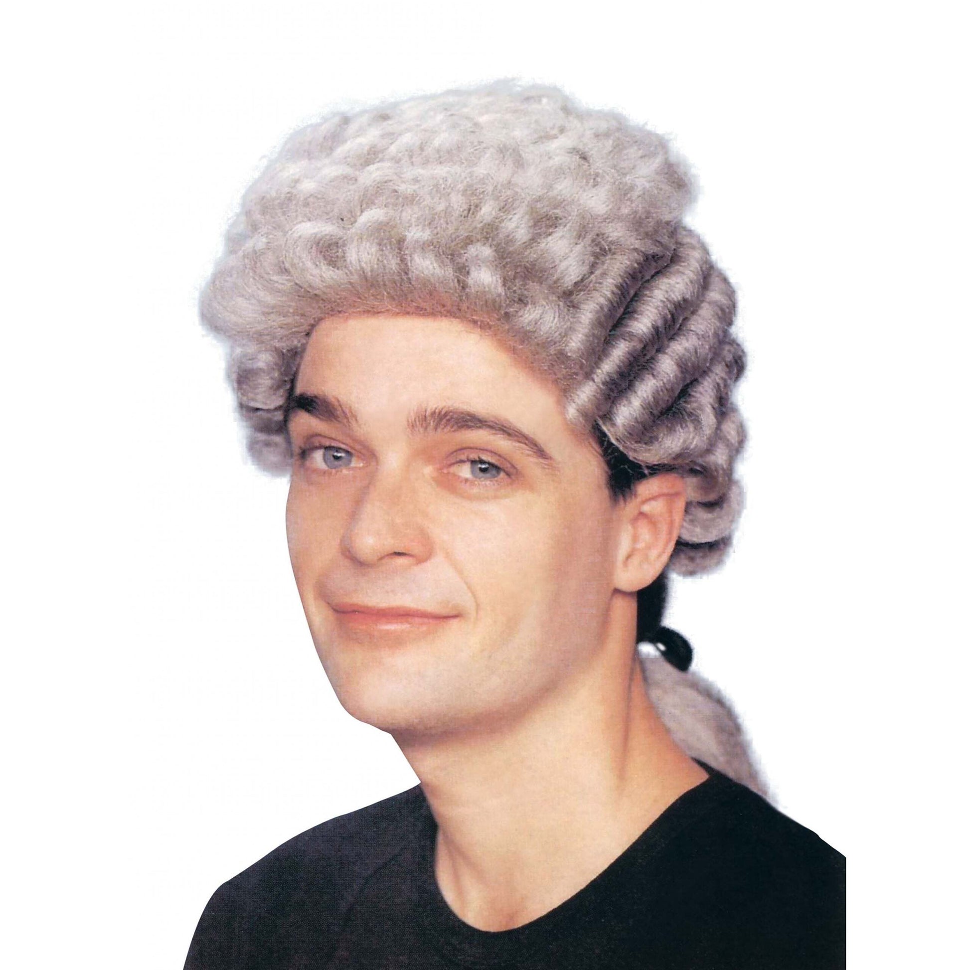 Mens Barrister Wig Grey Wigs Male Halloween Costume 1