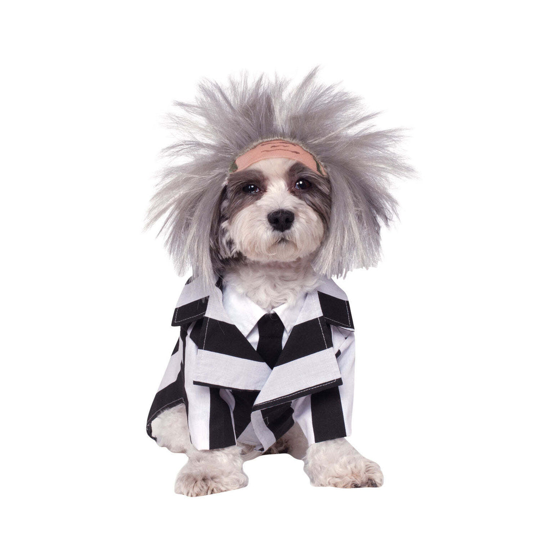 Beetlejuice Costume 1