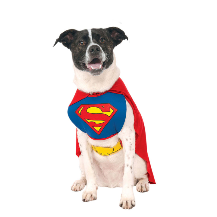 Superman Dog Costume 1