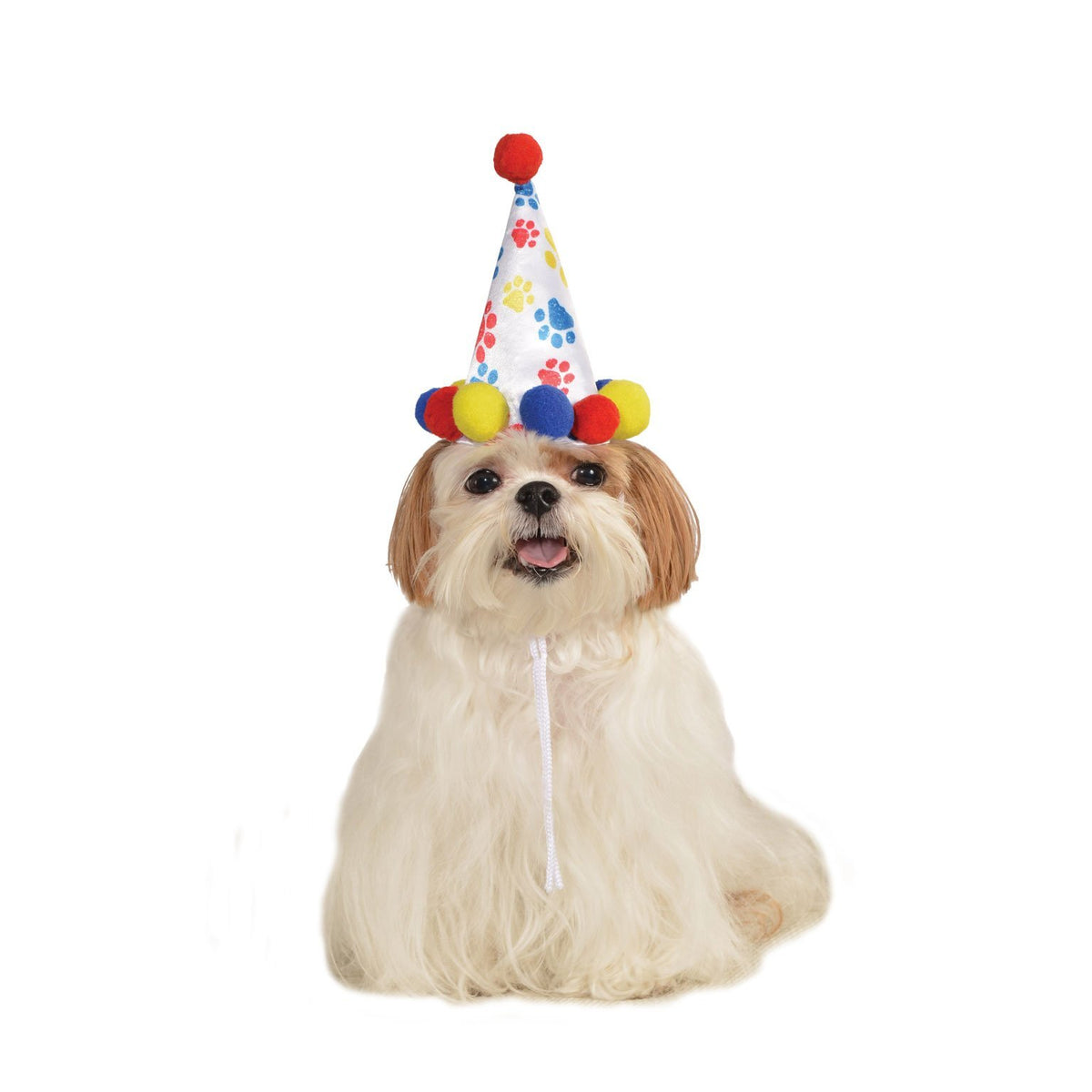 Dogs Paw Print Bday Hat for Pets 1