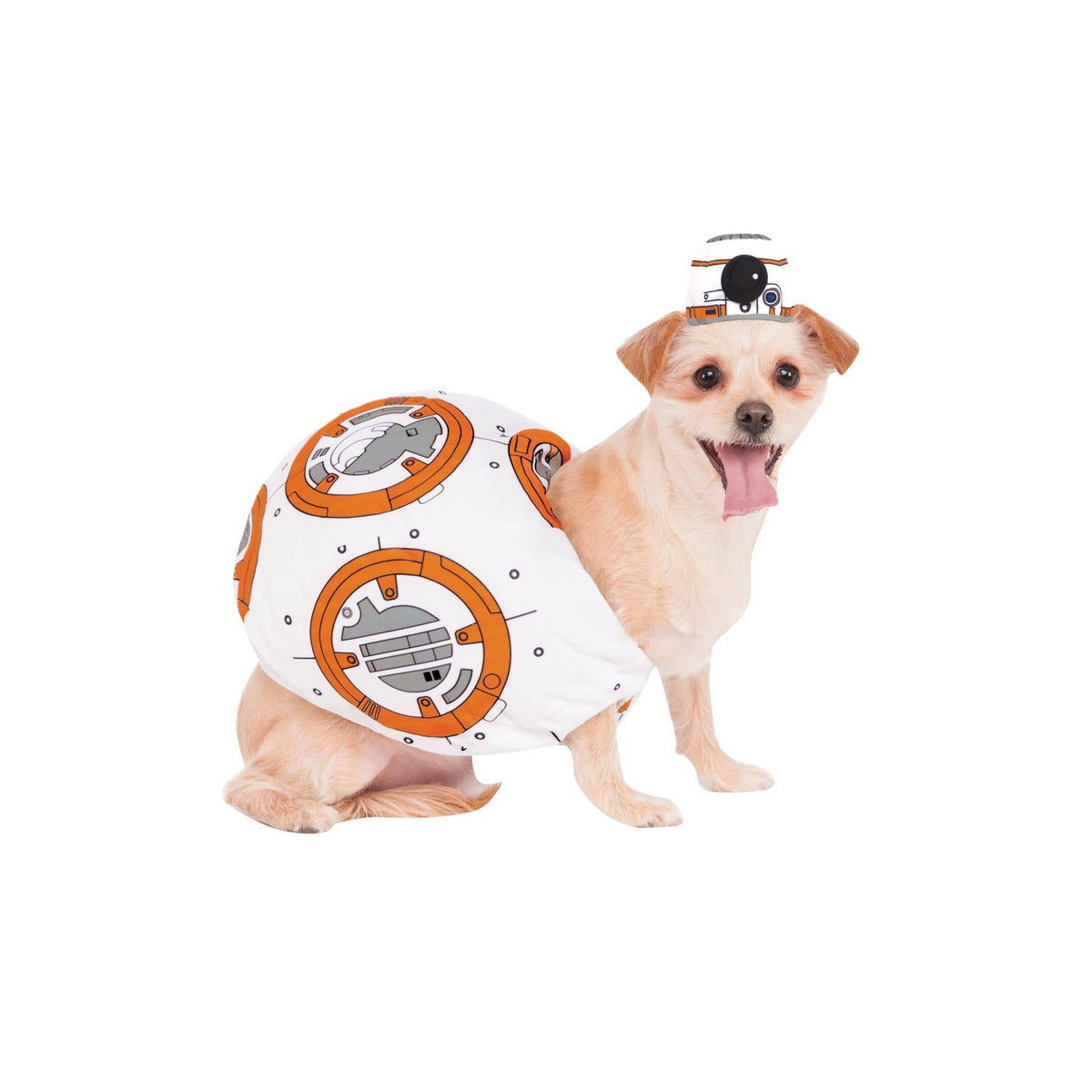 BB-8 Pet Dog Costume The Force Awakens 1