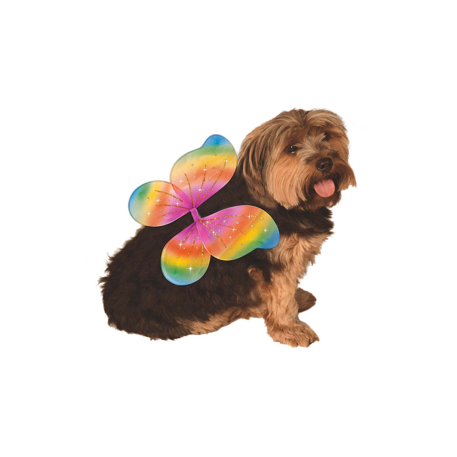 Rainbow Fairy Wings Pet Costume 1
