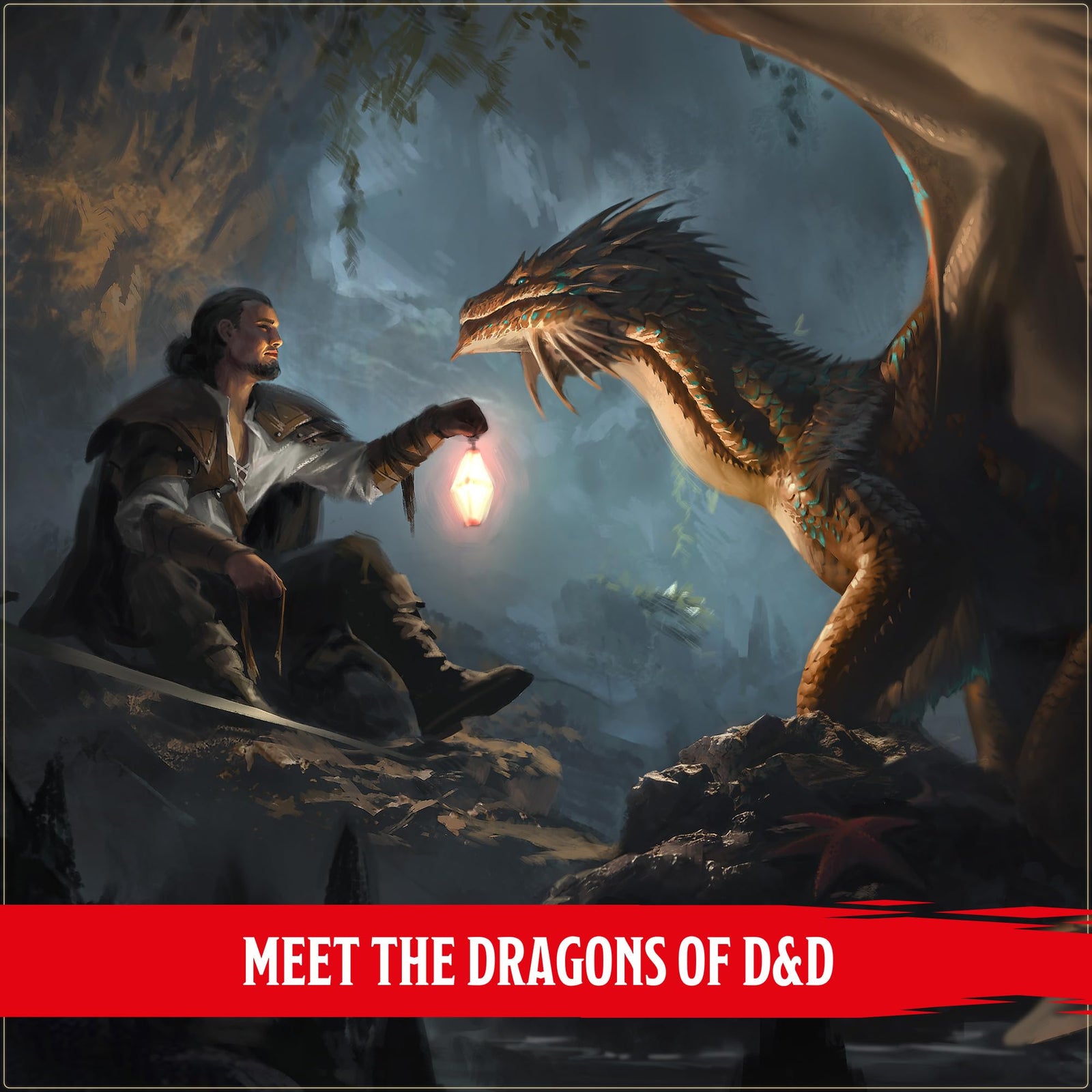 Dragon Delves Dungeons and Dragons DDN Roleplaying Game by Wizards of the Coast 2
