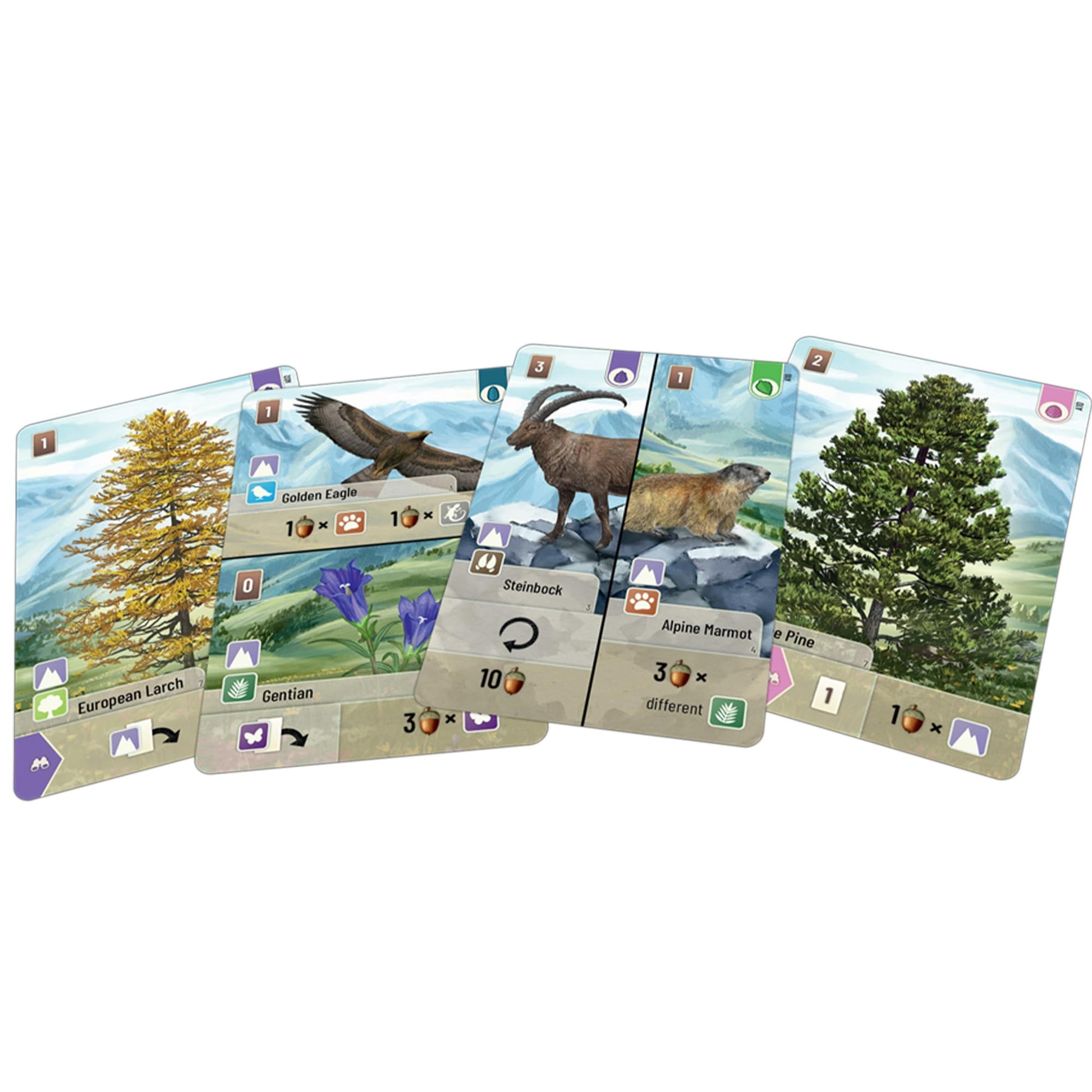 Forest Shuffle Alpine Card Game Expansion 36 New Cards for Enhanced Gameplay 4