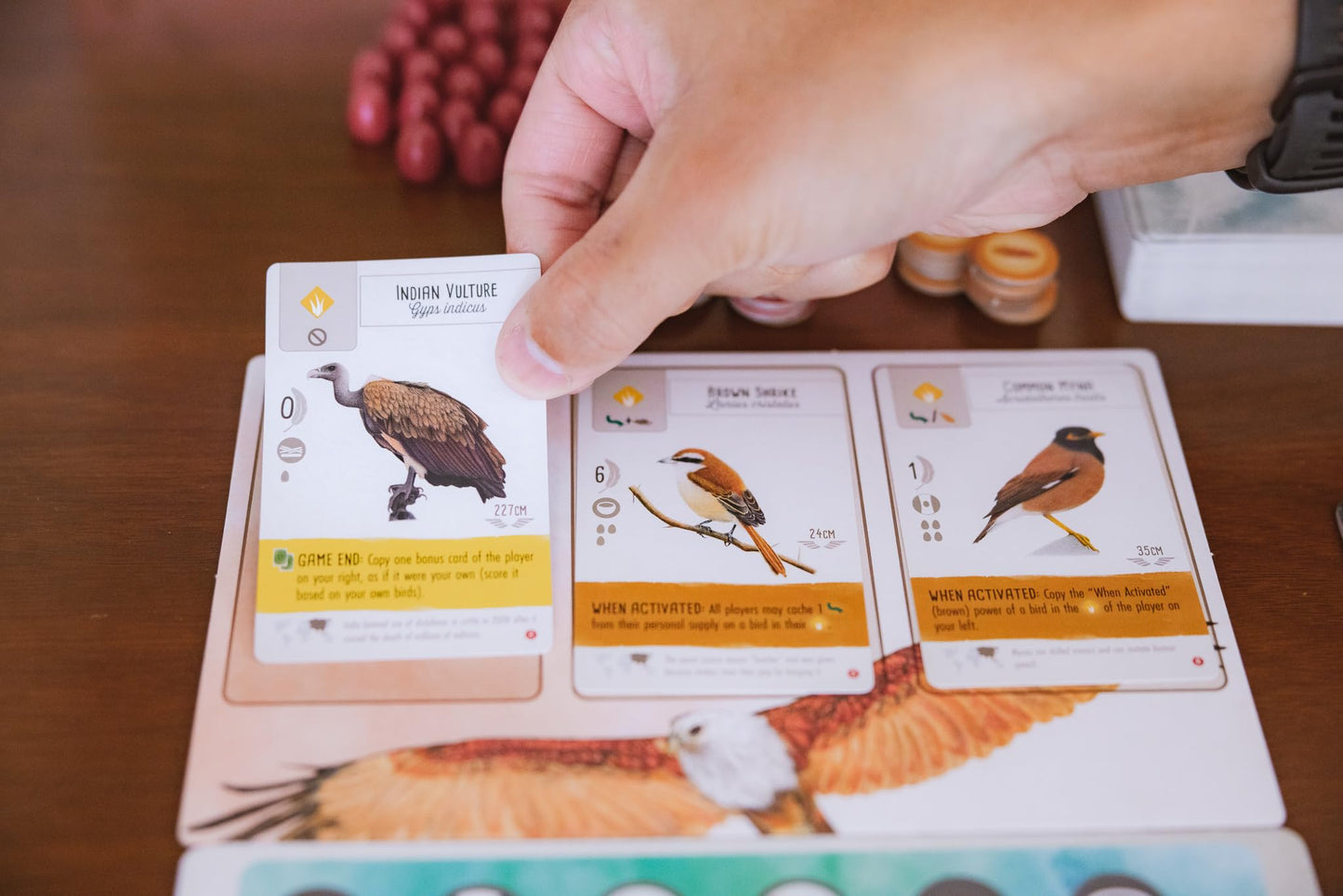 Wingspan Asia Board Game Standalone Expansion from Stonemaier 6