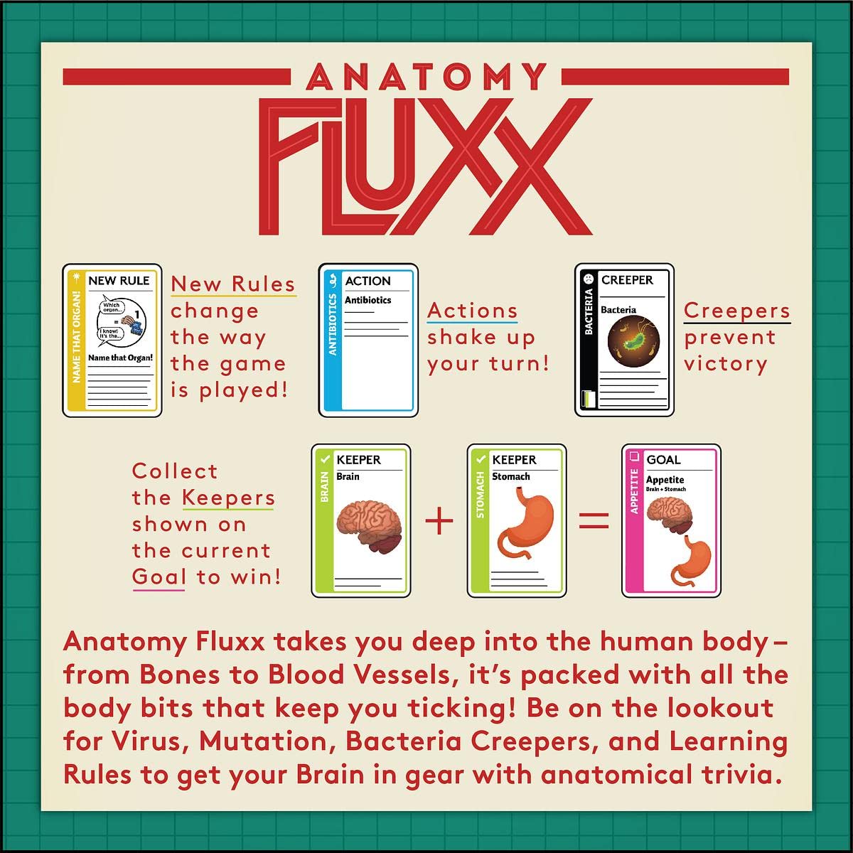 Anatomy Fluxx Board Game by Looney Labs 3
