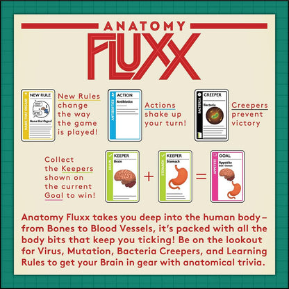 Anatomy Fluxx Board Game by Looney Labs 3