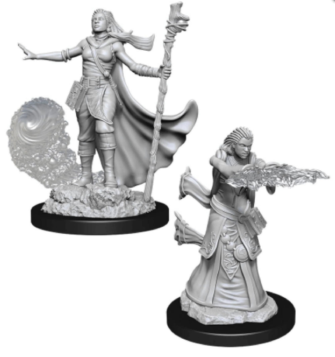 Male Human Druid: D&D Nolzur's Marvelous Unpainted Miniatures 4