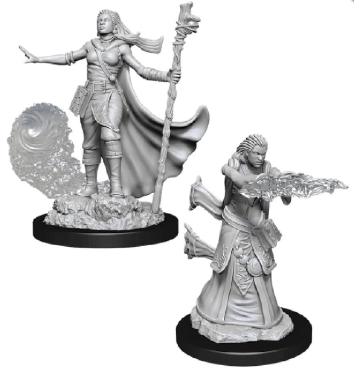 Male Human Druid D and D Nolzurs Marvelous Unpainted Miniatures Miniature Game by Wiz Kids 4