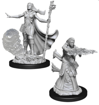 Male Human Druid D and D Nolzurs Marvelous Unpainted Miniatures Miniature Game by Wiz Kids 4