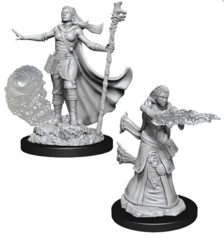 Male Human Druid: D&D Nolzur's Marvelous Unpainted Miniatures 4