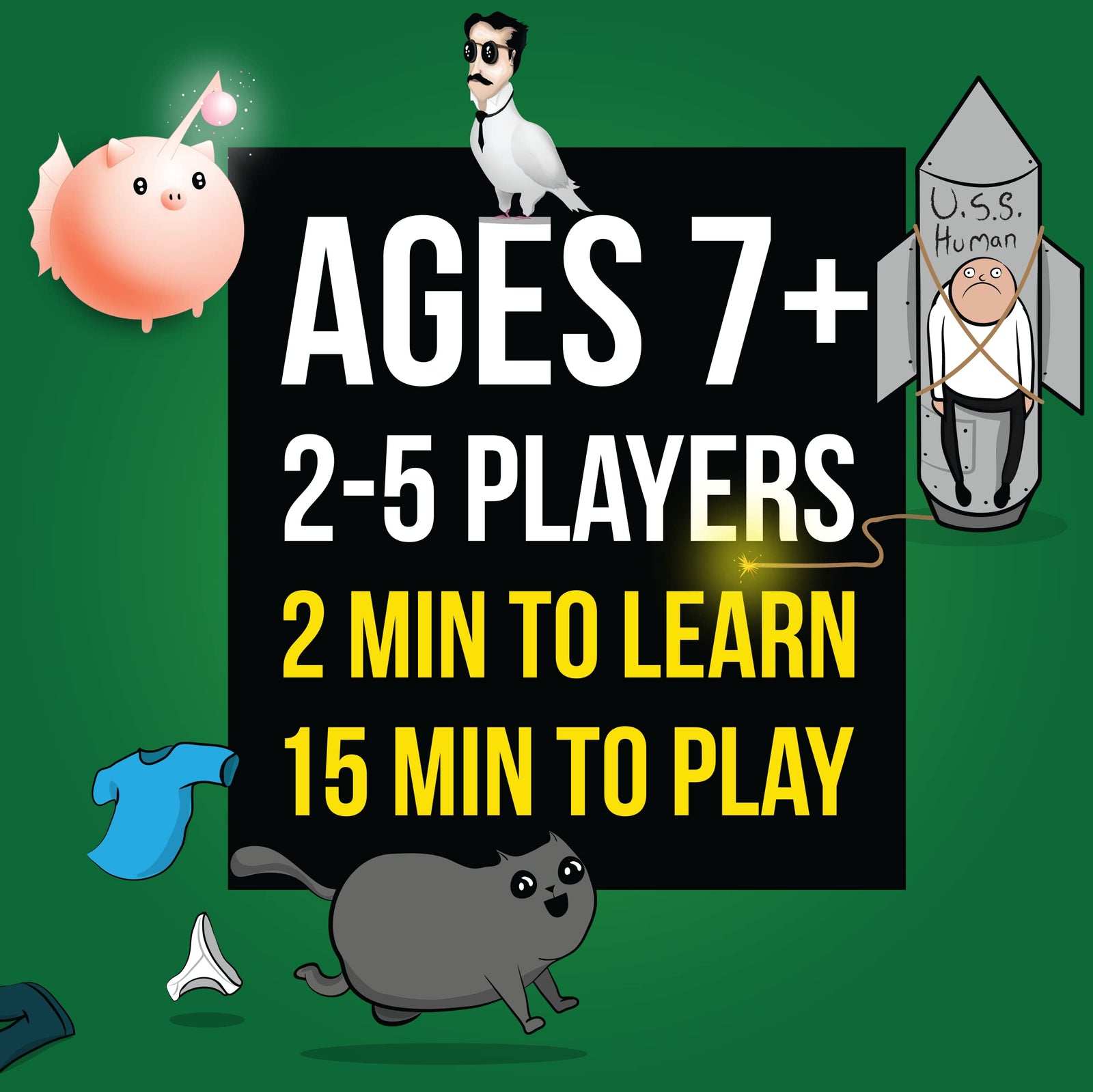 Streaking Kittens Expansion Pack by Exploding Kittens Card Game X 12 2