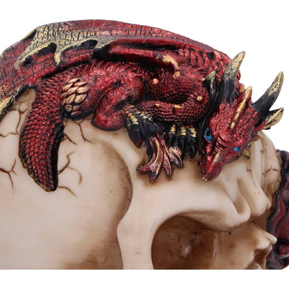 Rose Flame Decorative Skull With Sleeping Dragon 14.5cm 6