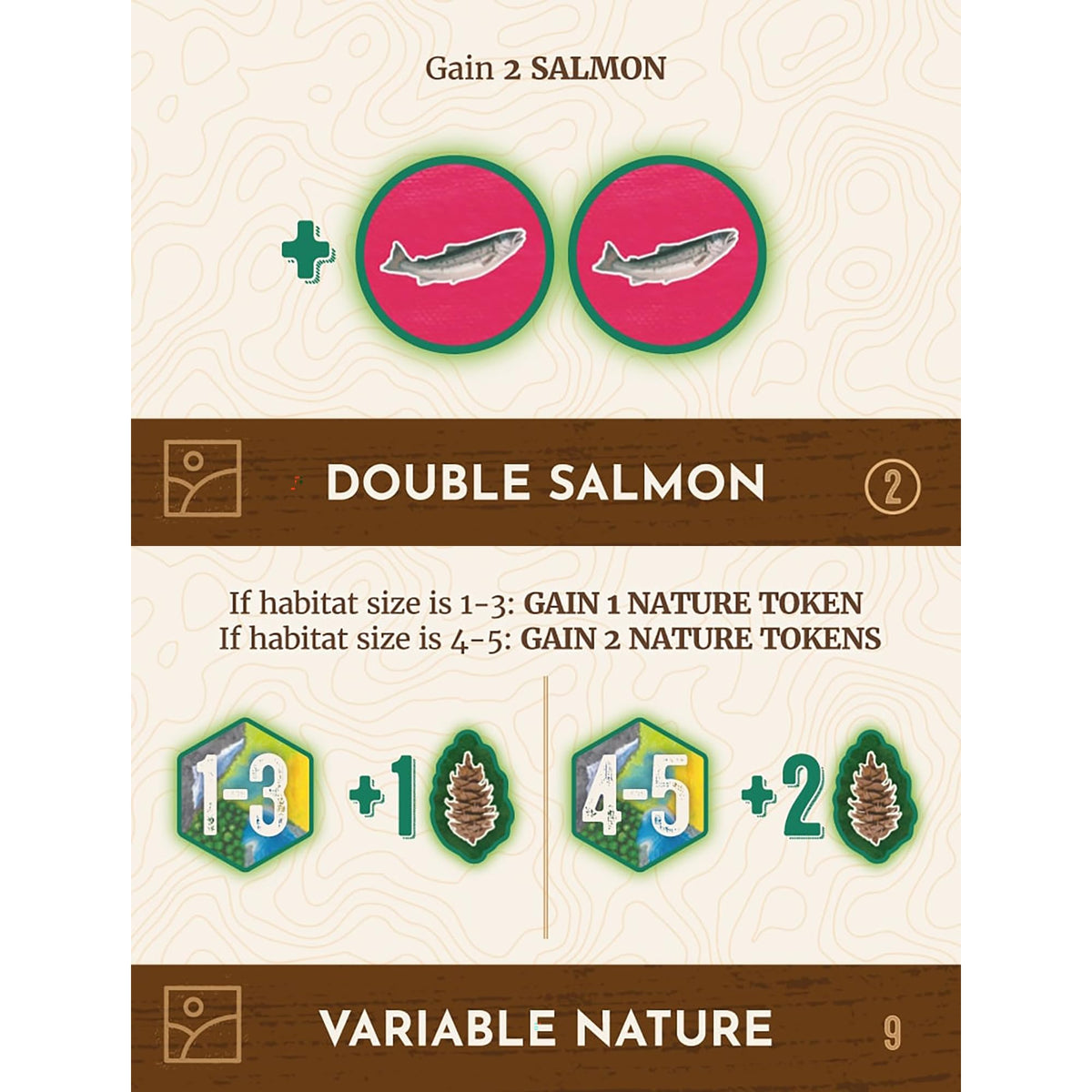 Cascadia Rolling Hills Board Game by Alderac Entertainment Group 6