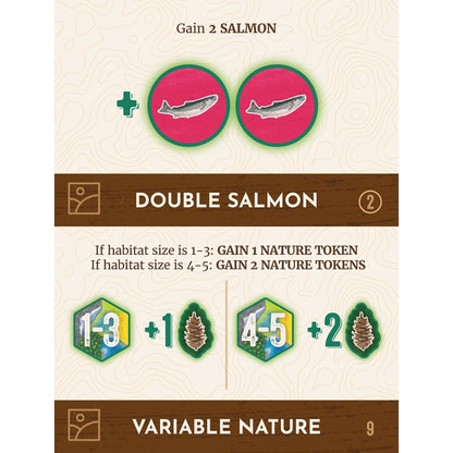 Cascadia Rolling Hills Board Game by Alderac Entertainment Group 6