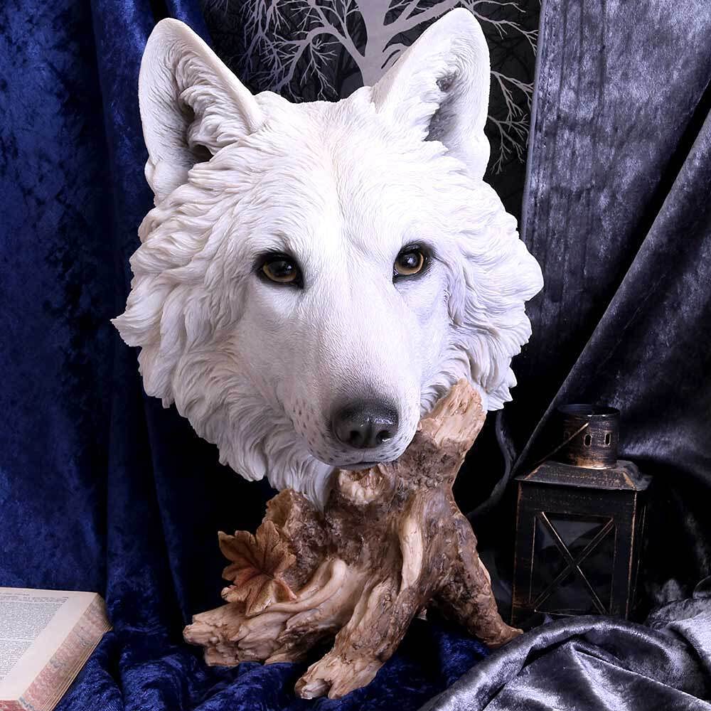 Wild Winter White Wolf Bust 27.5cm