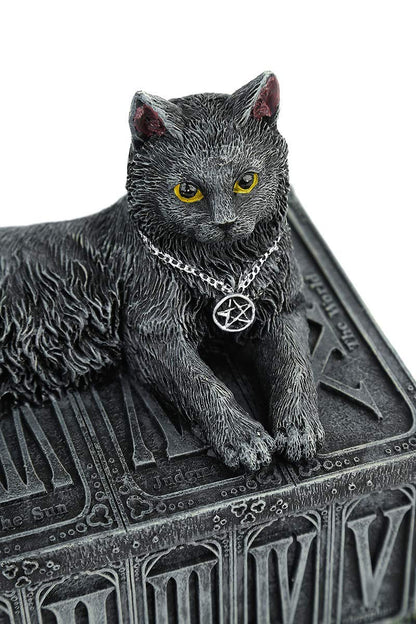 Fortunes Watcher Cat Familiar Tarot Box Fortunes 17cm 6