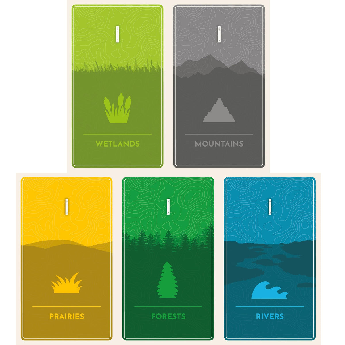 Cascadia Rolling Rivers Board Game by Alderac Entertainment Group 3